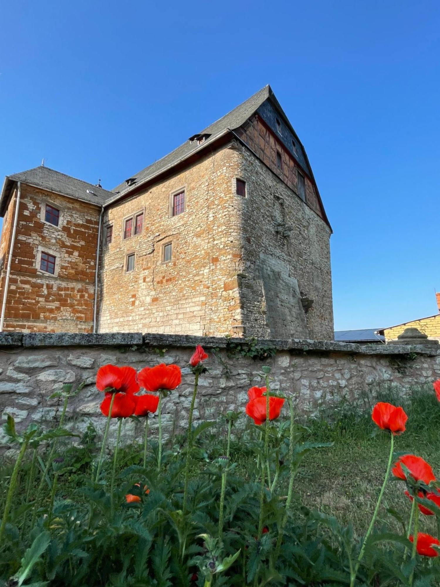 Schloss Beichlingen 외부 사진
